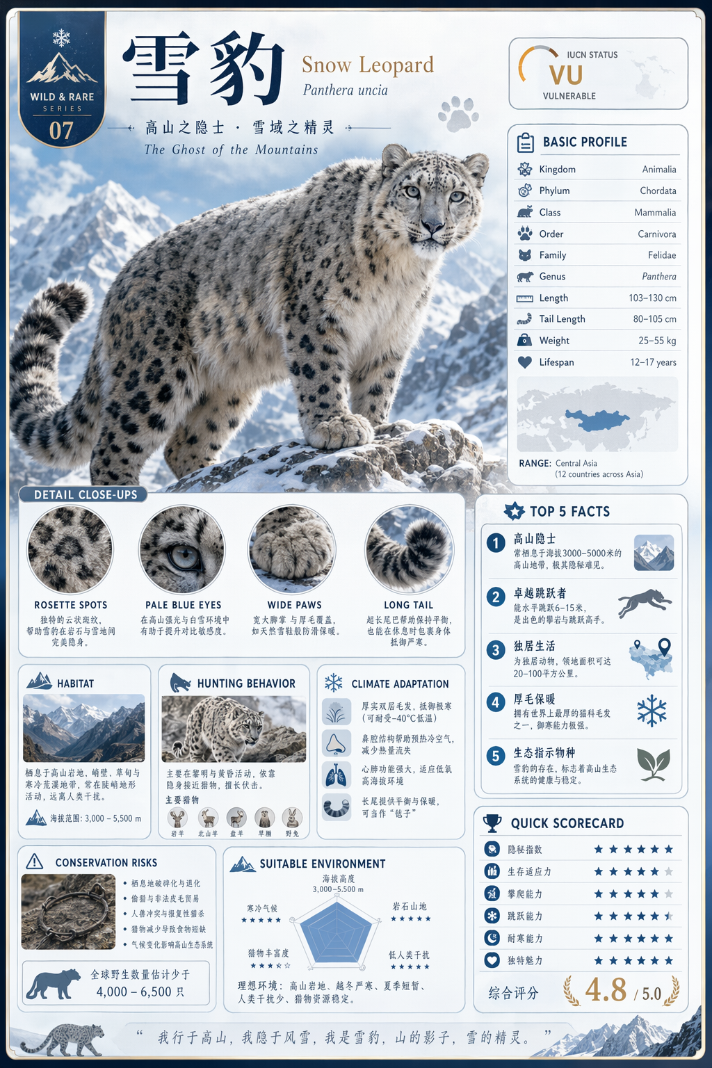 GPT-Image-2 案例 · 模块化百科信息图卡片
